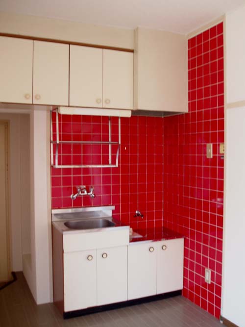 Kitchen. It is fashionable red kitchen. 