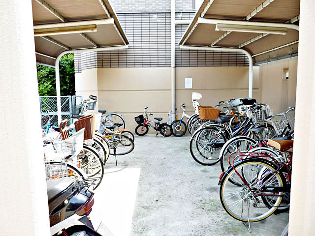 Parking lot. Bicycle-parking space