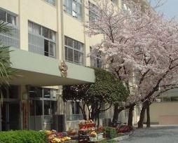 Primary school. Municipal Tamagawa until the elementary school (elementary school) 520m