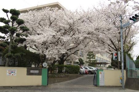 Primary school. Yanaga up to elementary school (elementary school) 550m