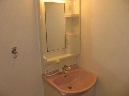 Washroom. Shampoo with Dresser