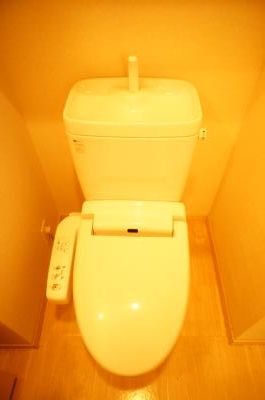 Toilet. Bidet with toilet