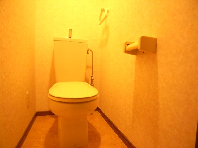 Toilet. Photos will be a separate room of the same type.