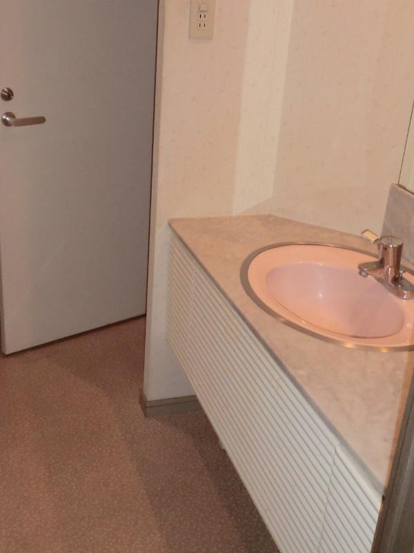 Wash basin, toilet. Easy-to-use vanity