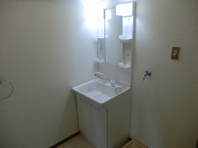 Washroom. Washroom shampoo dresser