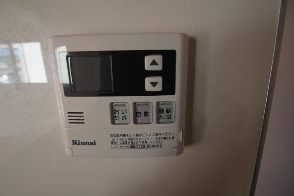 Other.  ☆ Image is a photograph at the time of completion ☆