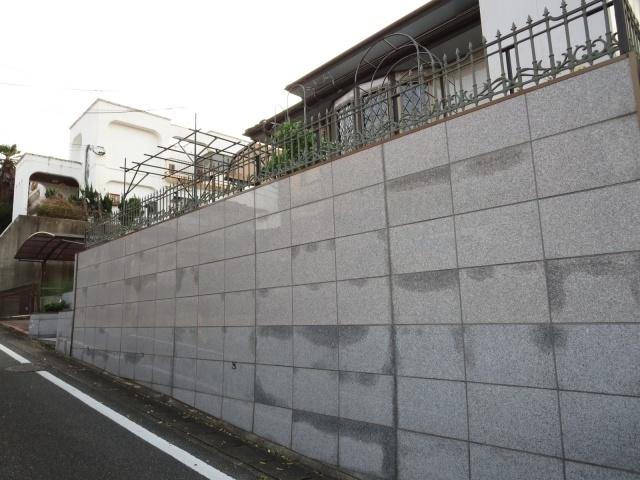 Local appearance photo. Outer wall (marble)