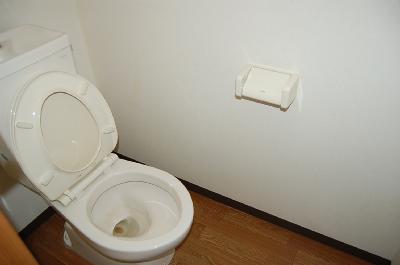 Toilet. toilet. The same type separate room photo