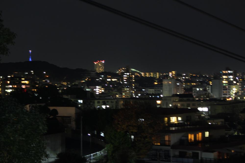 Other. Night view ~ Ohori fireworks you can see ~