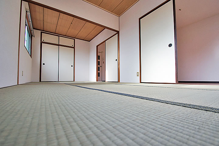 Living and room. Japanese style room