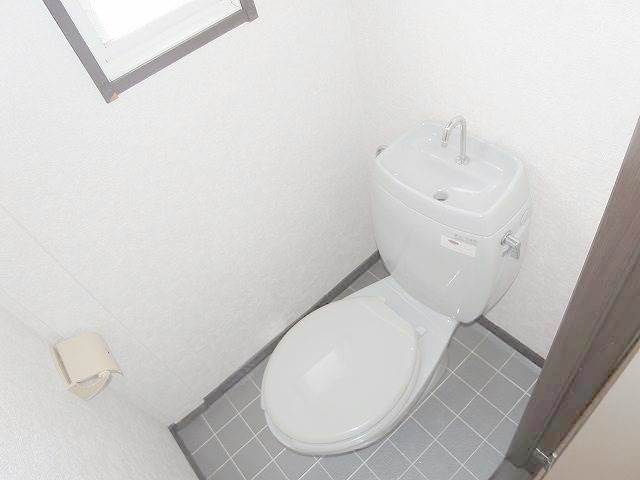Toilet. Yes toilet window! 