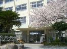 Primary school. Tamagawa until the elementary school (elementary school) 550m