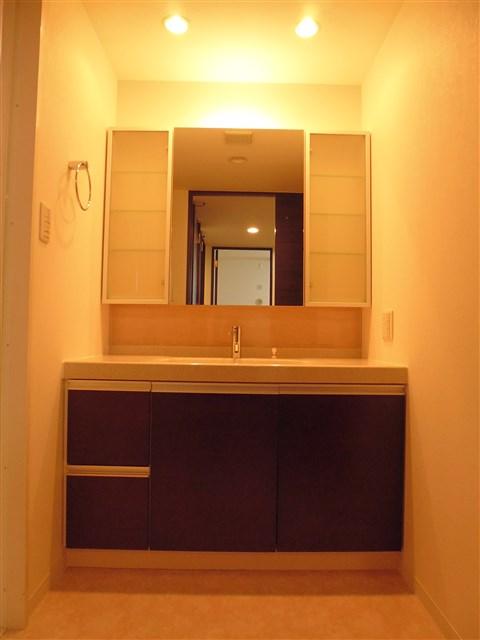 Wash basin, toilet. Bathroom vanity