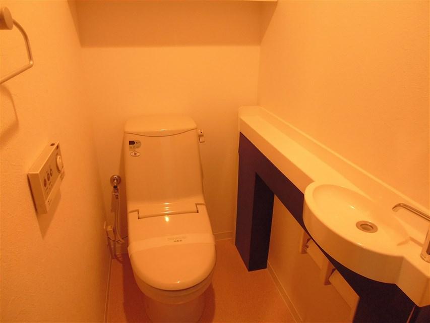Toilet. Bidet function toilet