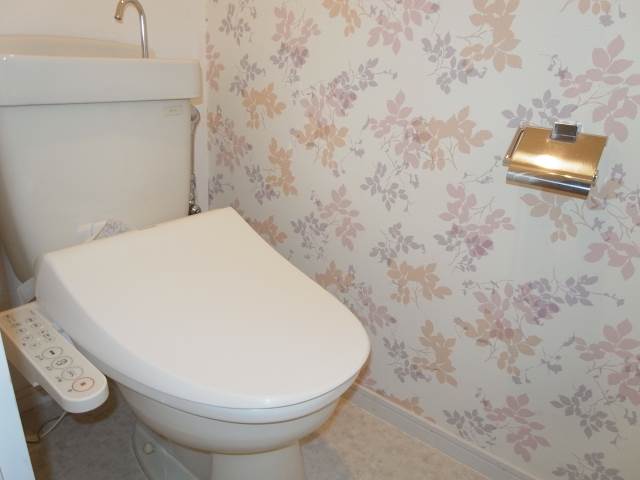 Toilet. Comfortable with Washlet! 