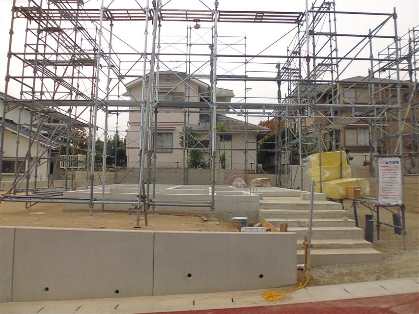 Local appearance photo. Local photo (2013 November 16, 2008)