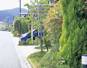 Other Environmental Photo. In the park in the planting housing complex, By providing a "cityscape agreement", such as incorporating the planting trappings four seasons on the road side, Streets to realize that a sense of unity to the rich natural blend