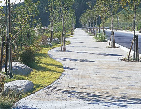 Other Environmental Photo. Develop a spacious sidewalk of maximum 9m width in the sidewalk in a housing complex housing complex