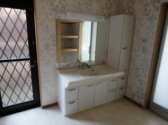 Wash basin, toilet. Interior