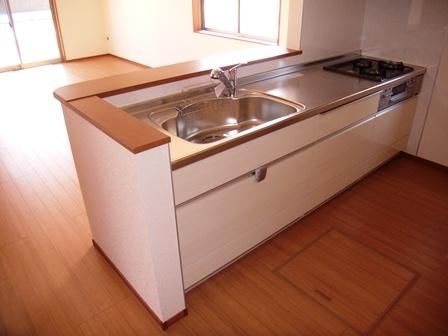 Same specifications photo (kitchen)