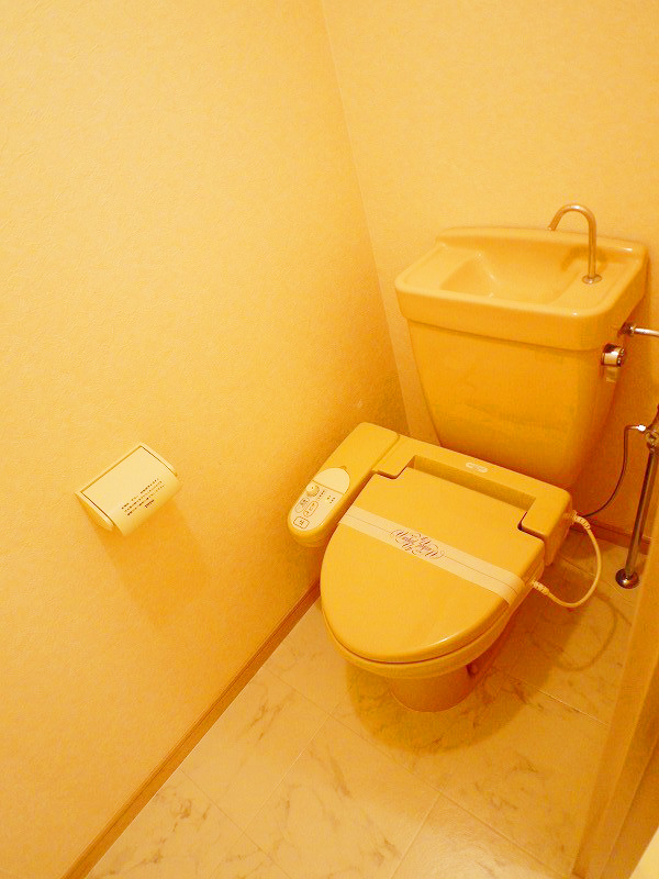 Toilet. Bidet with toilet