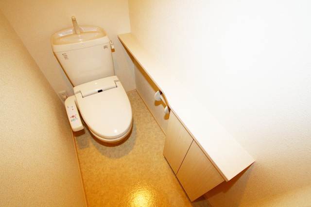 Toilet. Bidet with toilet! With storage