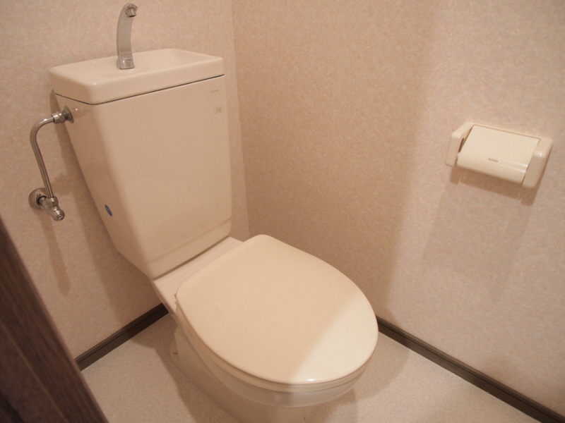Toilet. Easy-to-use Western-style toilet