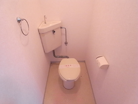 Toilet. Nice tank poised to slightly oblique