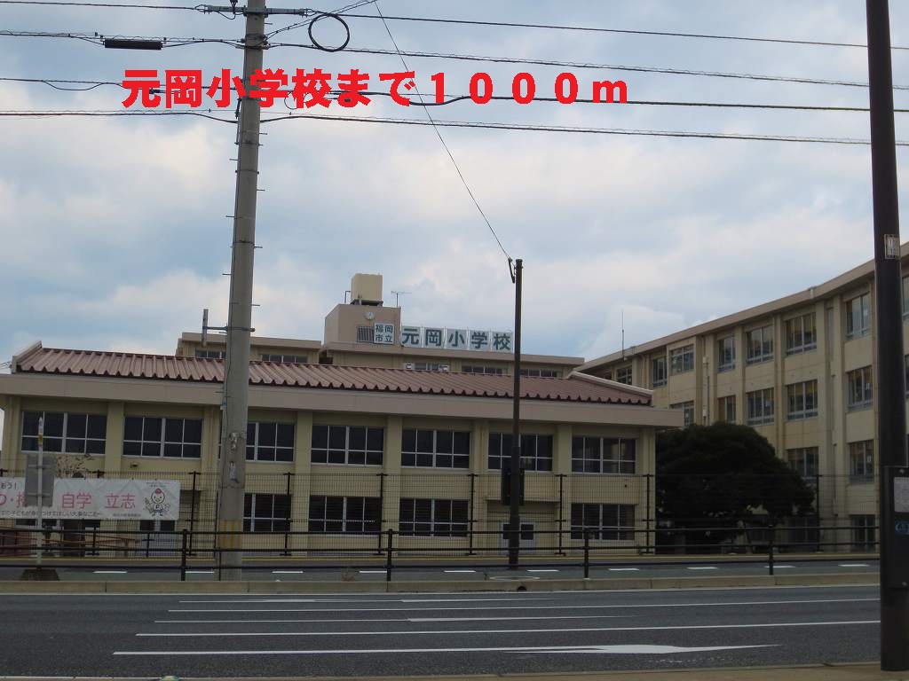 Primary school. Motooka 1000m up to elementary school (elementary school)