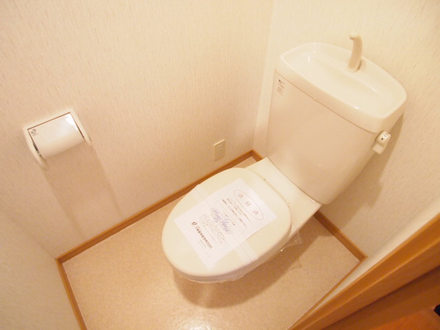 Toilet. Simple and clean Easy.