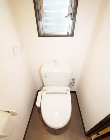 Toilet. Bidet with toilet! There are window