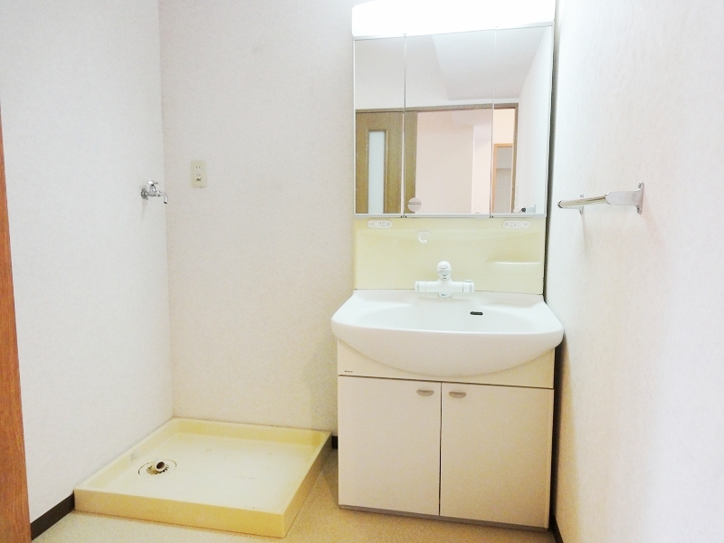 Washroom. Separate vanity with a dressing room