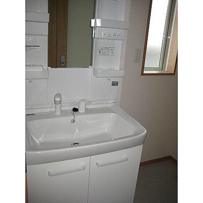 Wash basin, toilet. Easy-to-use shampoo dresser!