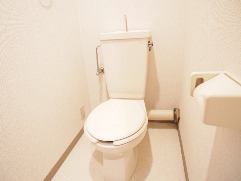 Toilet. Toilet is also wide as the room
