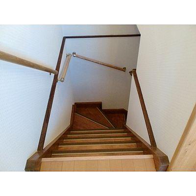 Other. It is peace of mind with a handrail to the stairs! 