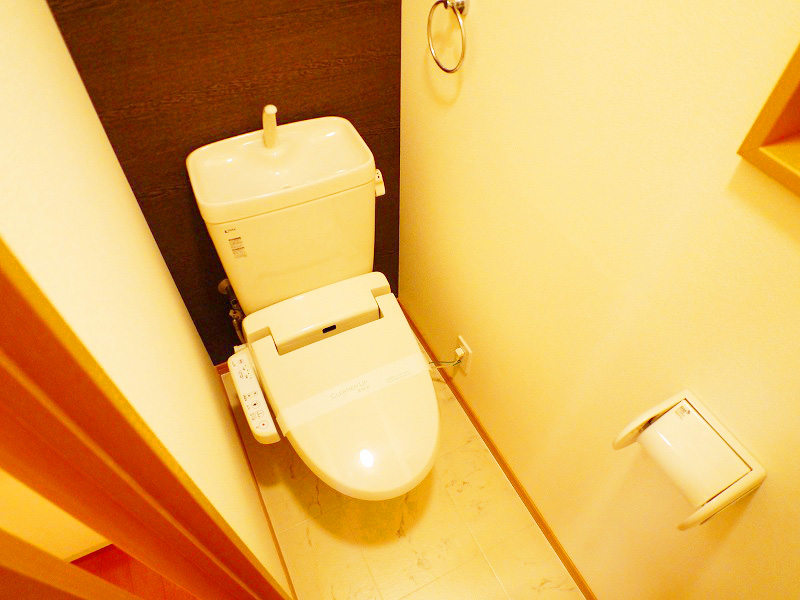 Toilet. Washlet with function