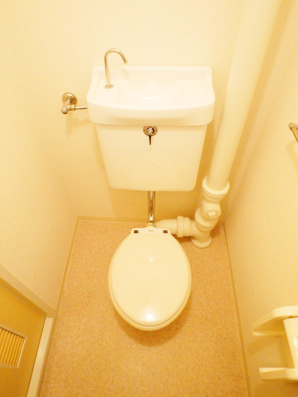 Toilet. Furniture consumer electronics with a possible consultation