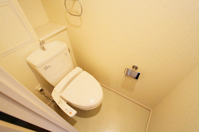 Toilet. Bidet with toilet