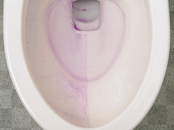 Toilet.  [Sefi on Detect toilet] Easy to fall dirty in nanotechnology and ion power, Cleaning has adopted the "Sefi on Detect" toilet bowl that can be easier. (Same specifications)