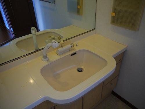 Wash basin, toilet. Interior