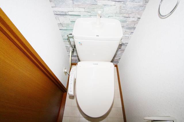 Toilet. Bidet with toilet