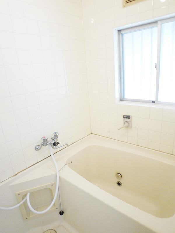 Bath. Bathtub is bright and there is also a wide window