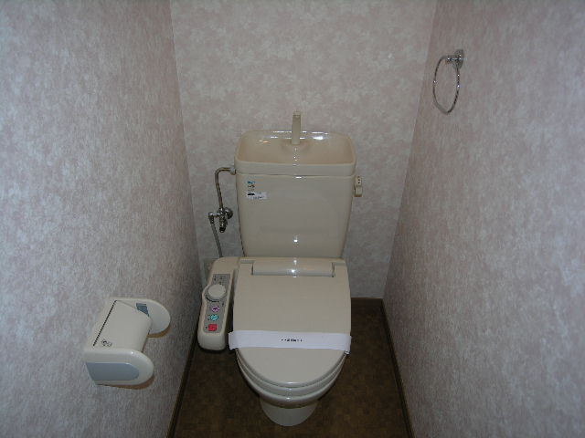 Toilet. Cleaning toilet seat is standard equipment