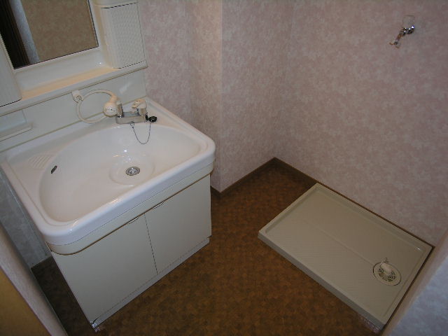 Washroom. Easy-to-use shampoo dresser of a large bowl