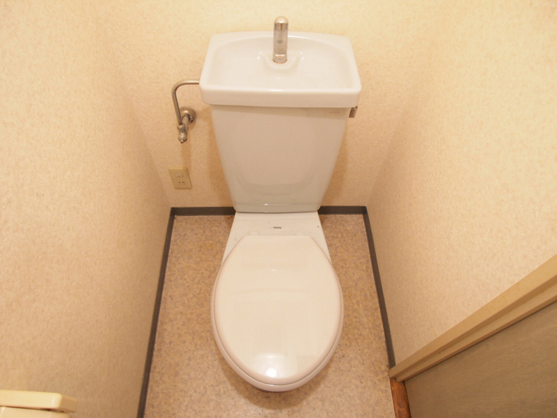 Toilet. Simple toilet. There is a perfectly shelf on the top. 