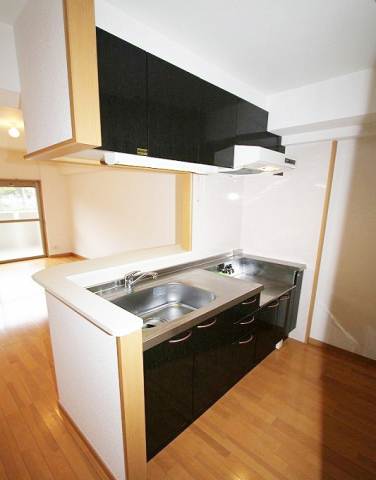 Kitchen. Two-burner stove bring possible