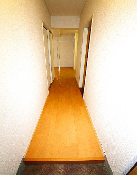Entrance. There is a firm corridor