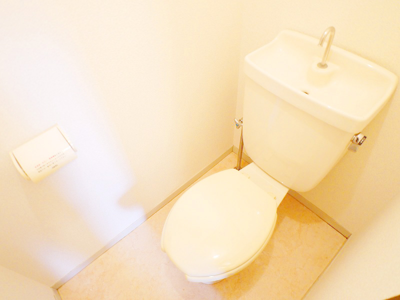Toilet. Toilet also is finished in beautiful