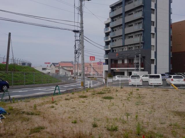 Local land photo. Subdivision panoramic view (from the southwest side)