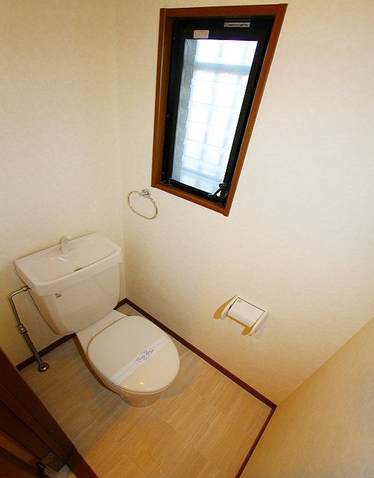 Toilet. Toilet. There is a window